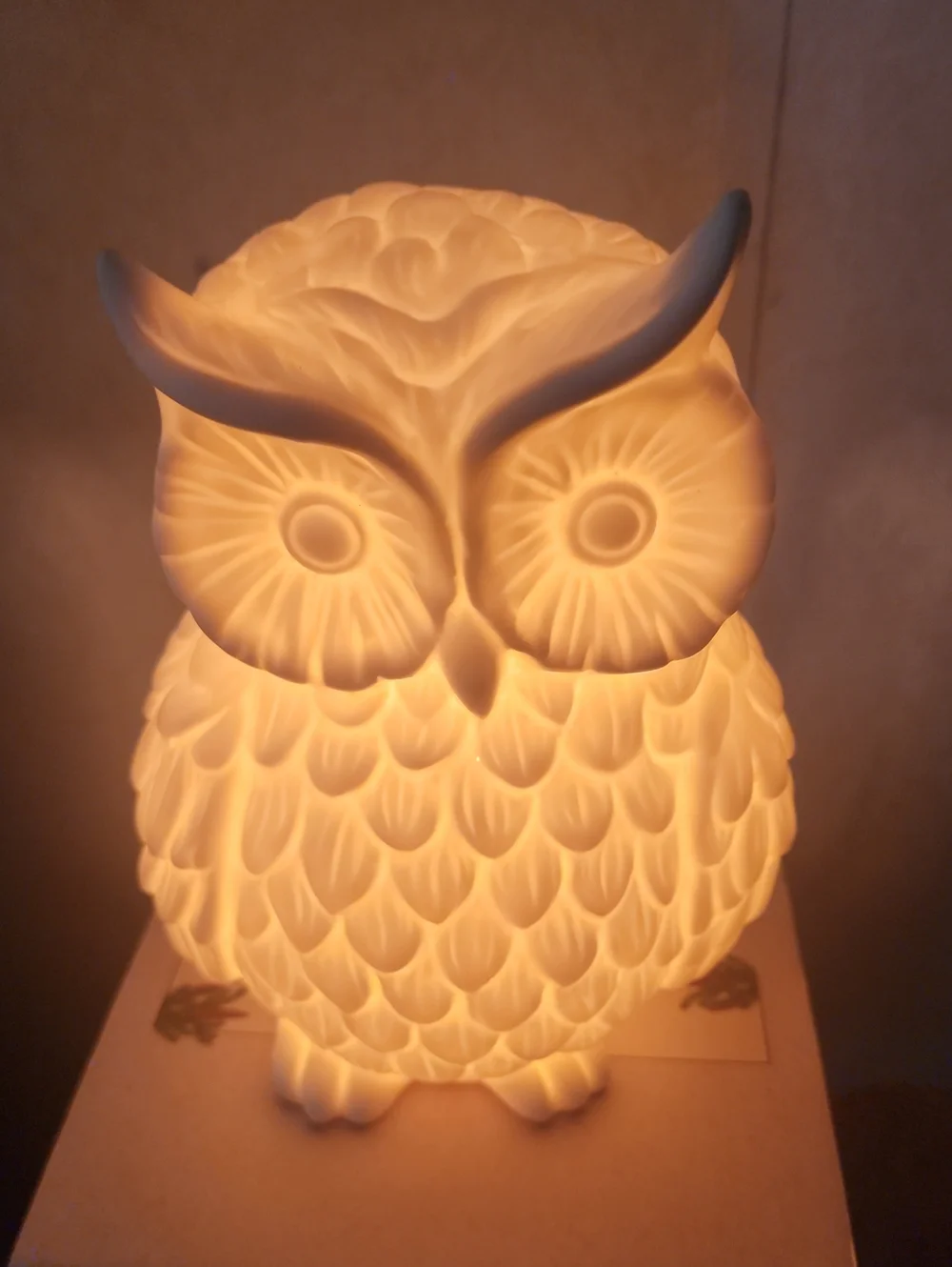 Porcelain Owl Accent Light - Matte White